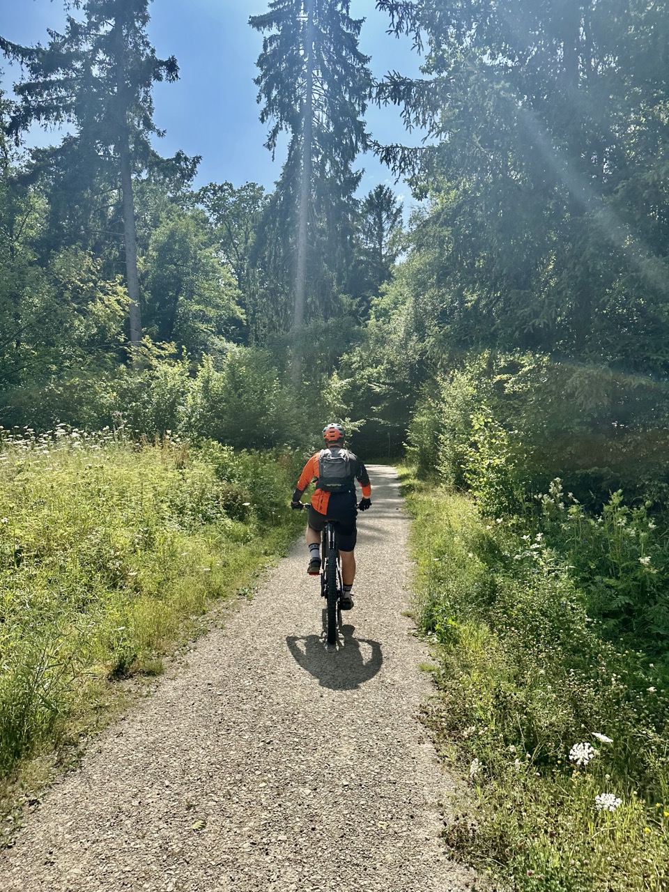 Guide führt Mountainbiker durch die Berge